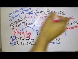 Introduction new system (Water balance and Homeostasis) dr mohamed fayez