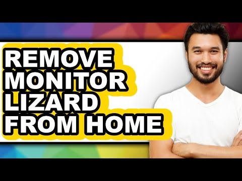 How to Remove Monitor Lizard from Home (only Way)