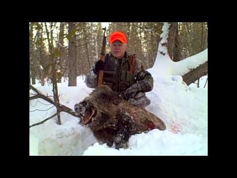 Russian Boar - One Shot With WWII 8mm Mauser