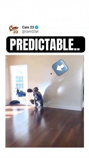 caught in the act.. 💀