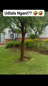 #funnyreels #amapiano #southafrica #viralreelschallenge | 7s Marketing