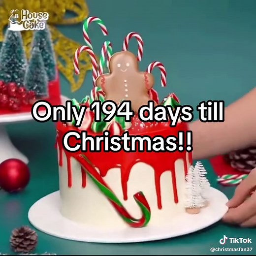 Only 194 Days Till Christmas - Countdown & Ideas
