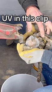 UV in this video of a keokuk geode that glows several colors #glow #uv #rockhounding #crystal #geode | KeokukGeodes