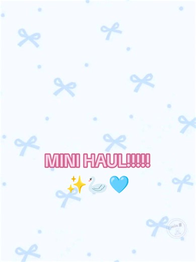 Exciting Mini Haul: Unboxing Unique Finds