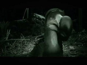 Extinct animals caught on camera (dodo bird🦤)