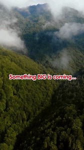 A Jurassic-sized adventure is coming to FAO Schwarz from @schleichofficial - shop now on FAOSchwarz.com! 🦕 | FAO Schwarz