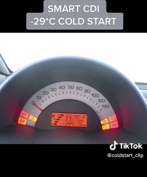 SMART CDI -29*C COLD START #mb #smart #smartlife #smartcdi #coldstart_clip