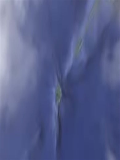 Steal Brainrot: Unleashing Creativity in Roblox