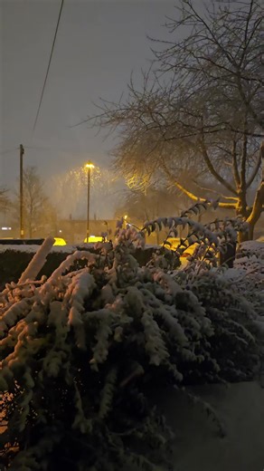 Charlotte French (@charlottefrench3)’s videos with original sound - Charlotte French