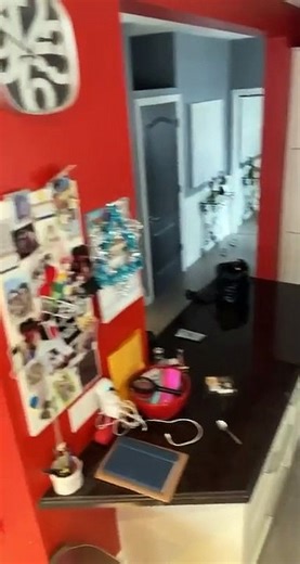 Woman Catches Mouse in Kitchen and Releases It