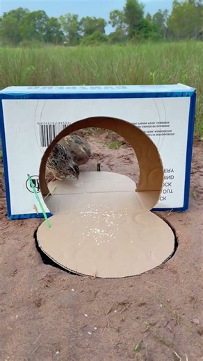 Smart Camping Hack: Save More Soap & Water With This Simple Trick! 🧼💧#camping
