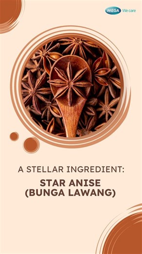 748 reactions · 20 shares | Discover the magic of star anise (Bunga Lawang)! This fragrant spice not only adds warmth and flavor to your dishes but also packs a punch with its powerful health benefits. From boosting digestion to supporting immunity, it’s a small spice with big impact! #BungaLawang #HerbalSpices #MegaWecare | Mega We care | Facebook