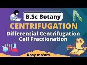 Principle of Centrifugation || Differential Centrifugation || Cell Fractionation || B.Sc. Botany