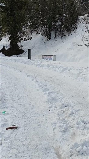 walking during snowfall in Chopta video 3