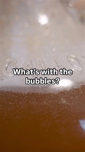 Craft a Brew - Beer Brewing Kits & Supplies on Instagram: "“What’s with the bubbles?” Homebrewing Basics Part 3🍻 Carbon Dioxide is a byproduct of fermentation, which creates bubbles and foam as it escapes through the airock. The CO2 also forms a protective layer above the beer, which prevents oxidation of your beer (which causes stale off-flavors). #homebrewing #homebrew #beerbrew #beerbrewing"
