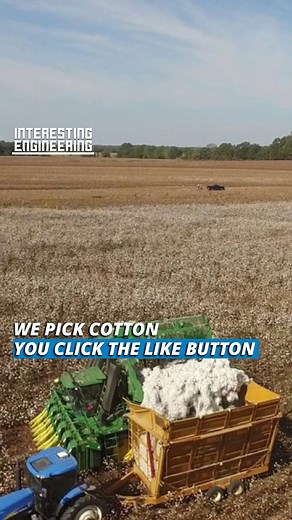 Behold the most mesmerizing harvest of cotton fields with these huge cotton harvesting machines. Cotton is one of the world's most sustainable fabrics, and harvesting it looks pretty satisfying. | Interesting Engineering