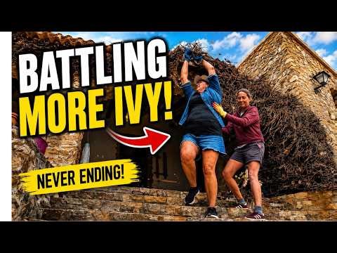 The ivy invasion: Clearing our overgrown Spanish house in Spain.