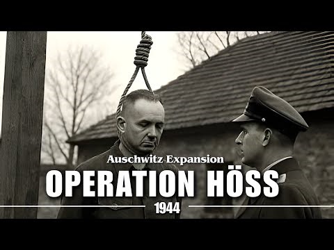 Fall Asleep To ENTIRE History of OPERATION HÖSS - Auschwitz Expansion | WW2 Nazi War Documentary