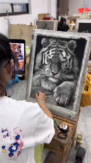 Graphite Drawing Art Gallery on Instagram: "Majestic Presence Wuxiang's large-scale graphite drawing captures the tiger's commanding presence through masterful control of tonal relationships and texture. The artist's patient approach to rendering individual fur patterns and the penetrating gaze demonstrates both technical precision and deep respect for the subject's wild dignity. The studio setting emphasizes the impressive scale of this work - creating wildlife art of this size requires sustain