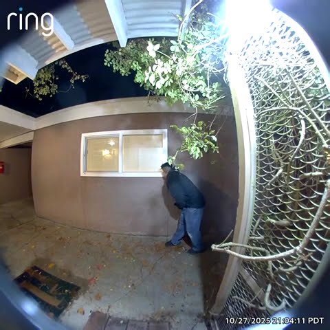 Reader video: Second view of prowler/peeper