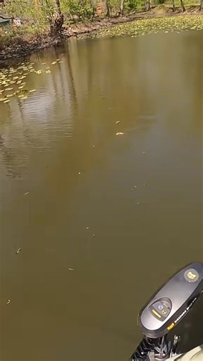 This lure catches MONSTER FISH!!! (GIANT PIKE )-000 #cleaningoutmycloset #cleaninglady #cleaninghouse #cleaningmode #cleaningtips #cleaningservice #cleaning #cleaningup #cleaningtime #cleaningproducts #cleaningservices #CleaningCompany #cleaningredients #cleaninghacks #cleaningshoes | Ruth Ardith | Facebook