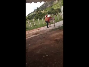 Man knocked out by violent donkey +Aftermath