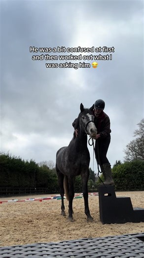 Mounting Block Training 🥰 the plan was just to get him standing still and relaxed at the block but we also learned a little trick too - clever boy