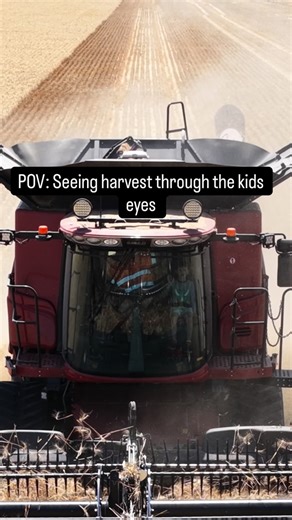 Kirkland Ag - Dryland Farming & Contracting on Instagram: "Building the next generation a bright future, one harvest at a time 🌾🧑‍🌾🧑‍🌾👩‍🌾 #farming #farmers #agriculture #farmlife #harvest #farm #tractor #australia #australianfarmers #australianagriculture #aglife #countrylife #lifeontheland #kirklandag #machinery #tractor #caseih #wheat #harvest2025 #farmkids @caseihaus @dust.n.diesel"