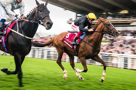 Qatar Goodwood Festival | 'Glorious Goodwood' | Official Website