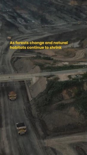 Their Home is Gone, Where Will They Go?