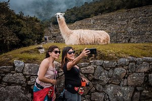Machu Picchu Day Trip from Cusco