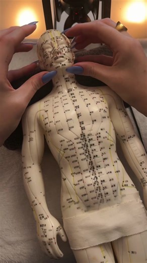 Full body tap and scratch on the acupuncture doll! #asmr #asmrvideo #asmrtiktoks #asmrsounds #asmrtok #scratchingasmr #tappingasmr #asmrforsleep #relaxingsounds #acupuncturedollasmr #backscratchasmr