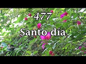 HA62 | Himno 477 | Santo día