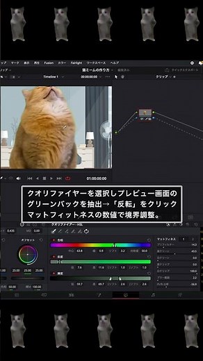 【猫ミーム 作り方】 無料編集ソフトDaVinci Resolve