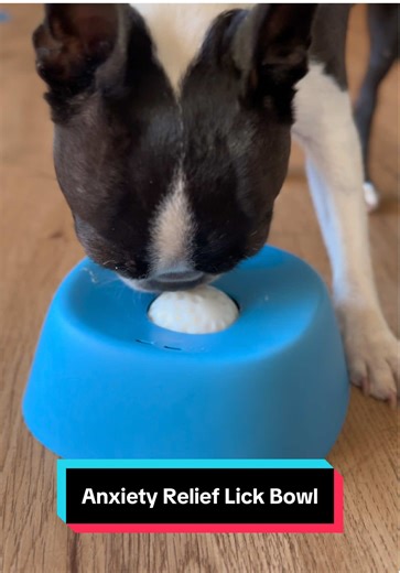 Effective Anxiety Relief for Dogs with a Liquid Treat Dispenser