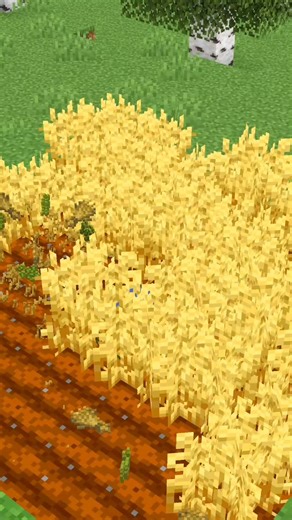 La meilleure ferme à blé automatique sur Minecraft