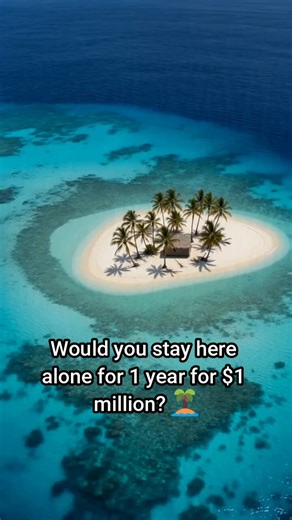 Would you do it!? 🤔