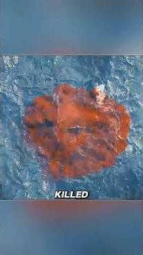 Ye Kon sa Pani Ka Janwar hai #short #movie