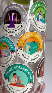 Cat Carrier Assembly Expert Sticker - Etsy
