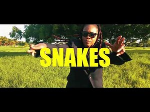 Navy - Snakes feat DWN (Official Music Video)