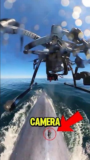 He Put a Camera on a Whale... This Is What It Saw 😳🐋