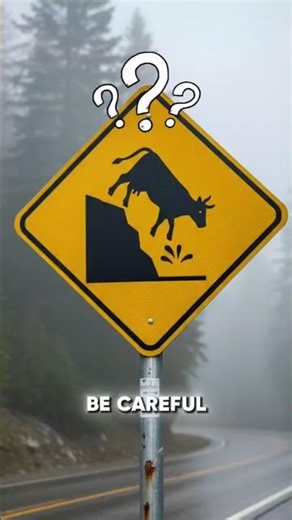 A Cow falling from a cliff???
