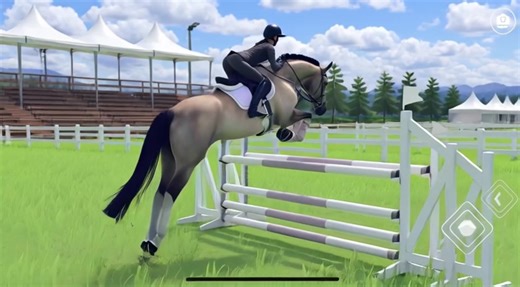 Baby Arlo's First Jump Under Saddle
