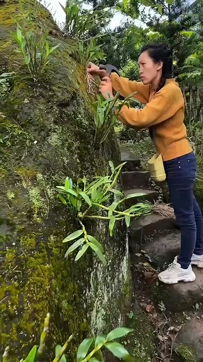 China’s Unique Plant 🌱 #technology #science #awsome #Animal #fascinating | GRIT Shorts