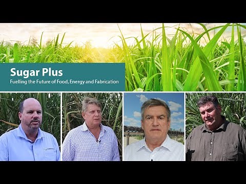 Industry vision and roadmap: Sugar Plus - Fuelling the future of Food, Energy and Fabrication