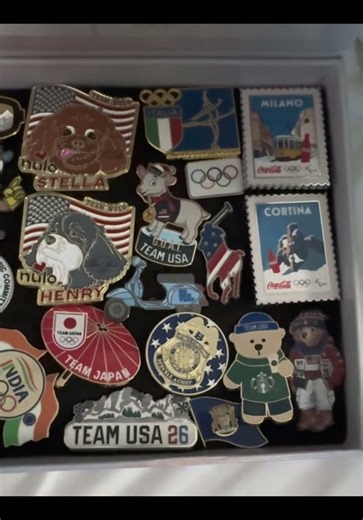 Showcasing My Exciting Pin Haul from the Olympics