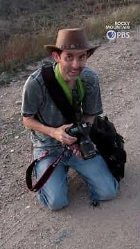 Tarantulas bring tourism to rural La Junta