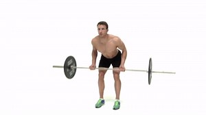 Barbell Bent Over Row (Underhand Grip)