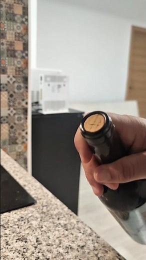 How to Remove a Wine Cork Without a Corkscrew 🍷🍾