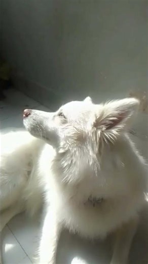 blue picture video like comment 😦😉💞